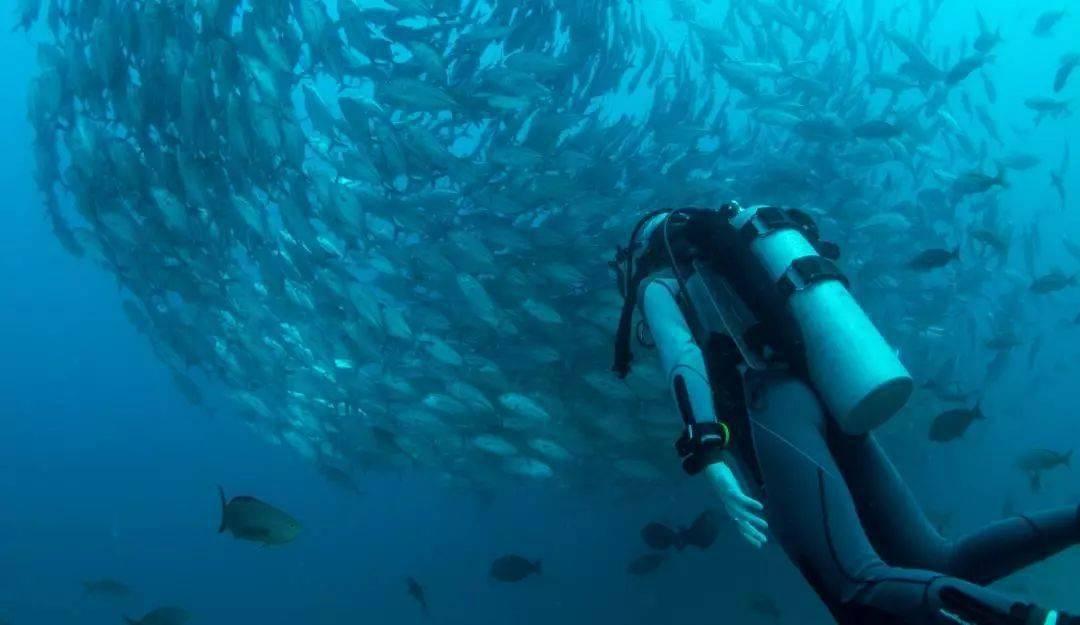 海贼船