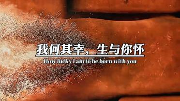 逃出蜜蜂岛